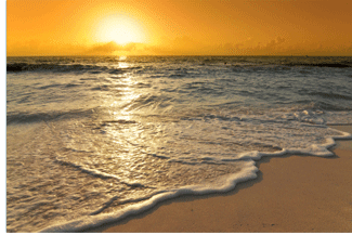 Summer Breeze